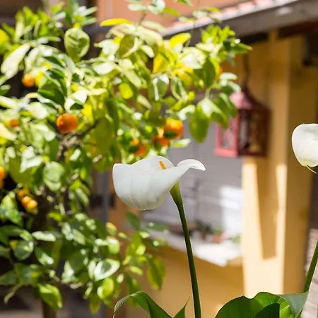 Hôtel Bristol, Le Puy-en-Velay Hotel