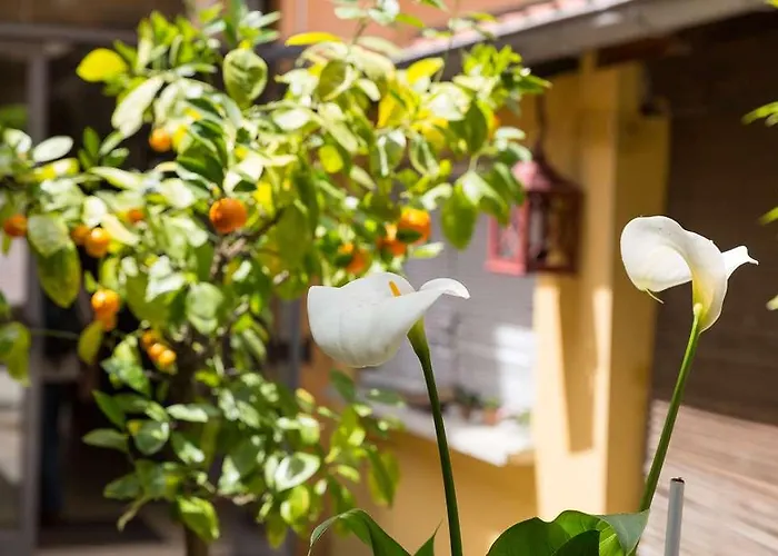 Western Le Bristol Hotel